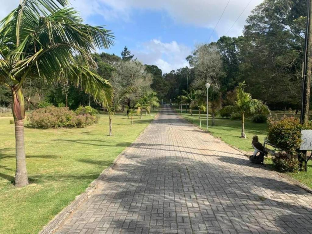 Palm Villa Port Elizabeth Ngoại thất bức ảnh